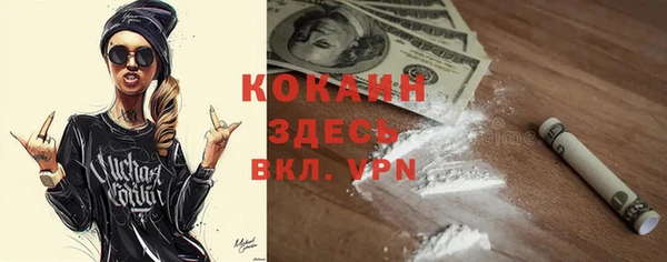 стаф Губаха