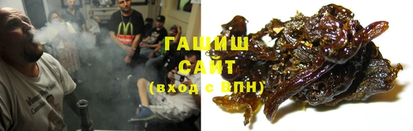прущие грибы Сатка