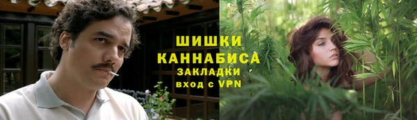 ПСИЛОЦИБИНОВЫЕ ГРИБЫ Россошь