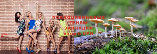спиды Рославль