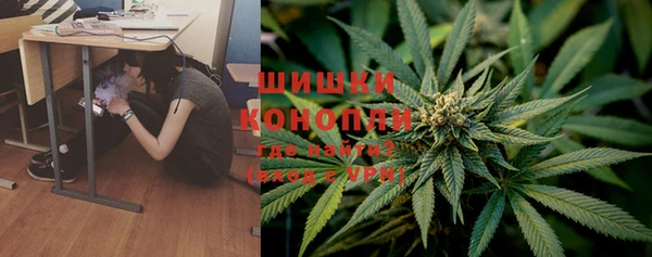 спиды Рославль