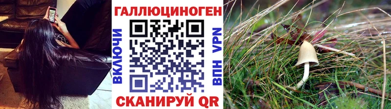Купить Давлеканово Псилоцибиновые грибы Magic Shrooms